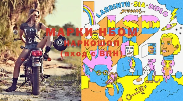 гашик Остров
