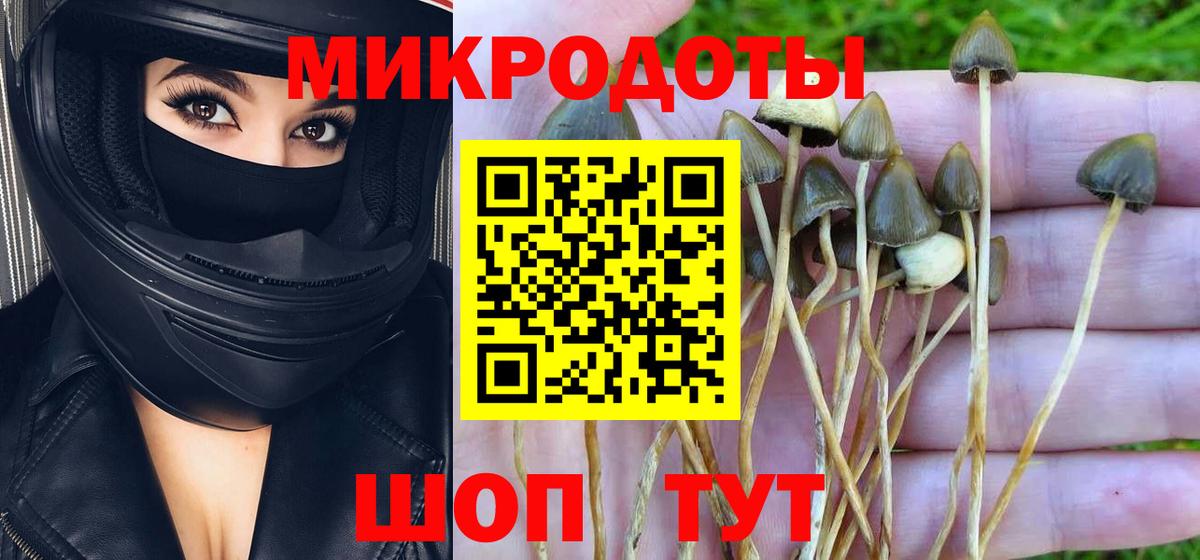 Псилоцибиновые грибы GOLDEN TEACHER  Вход с VPN  Балахна 